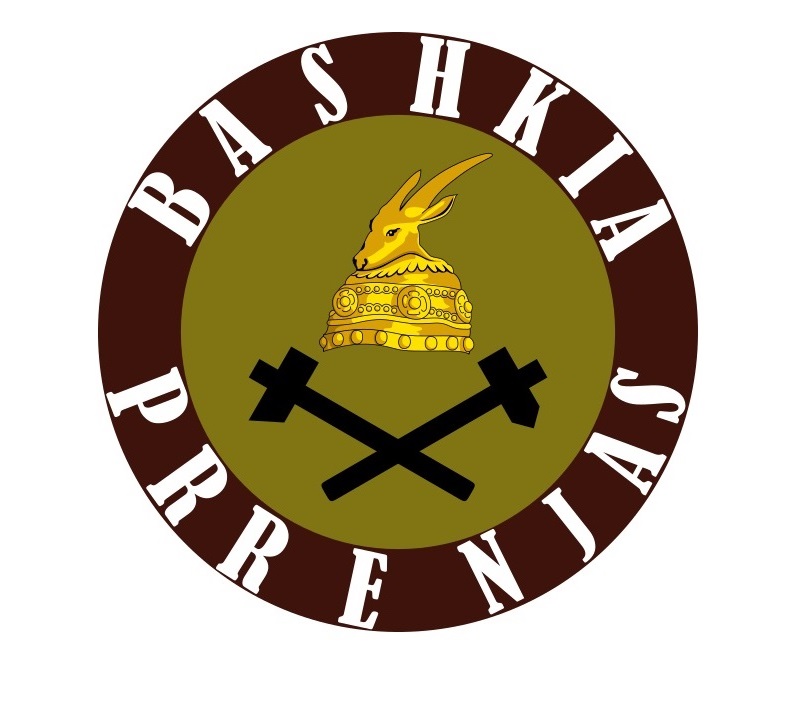 Bashkia Prrenjas